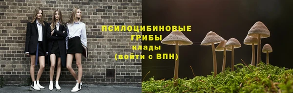 2c-b Алзамай